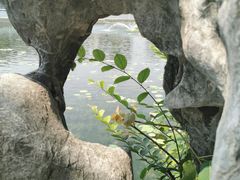 -梁园