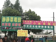 -小鱼草莓采摘园农家乐·小鱼餐厅