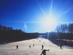 -北极村旅游风景区