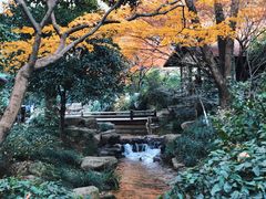 -中国茶叶博物馆(双峰馆区)