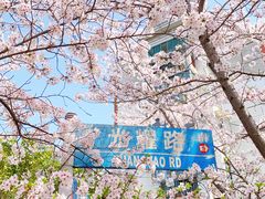 -高东镇樱花园