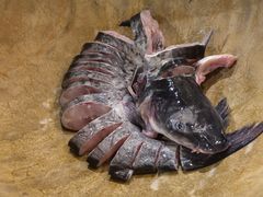 -云中鱼蒸汽石锅鱼(川沙百联店)