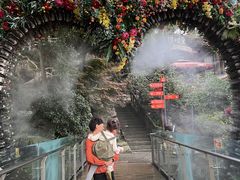 -巴倒烫陆派火锅山庄(南山总店)