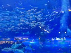 -成都浩海立方海洋公园