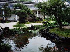 -东方艺术博物馆