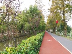 -上海长兴岛郊野公园