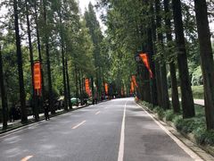 -青城山