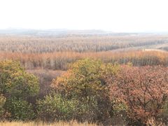 -塞罕坝国家级自然保护区