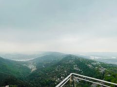 -大金鹰园