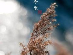 -双井轩(双井店)