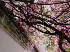 -深圳国际园林花卉博览园