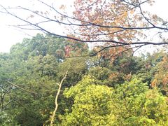 -歎雪糕低糖低脂Gelato冰淇淋