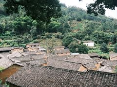 -杨家堂村