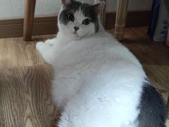 -悠尼宠物·独立低压伊珊娜洗护·美容·寄养(兰谷路店)