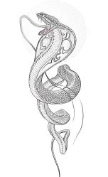点击看大图 -针牛刺客·刺青纹身