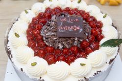 -酉嘉瑜伽YO+YOGA