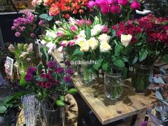 -植物学家的女儿(北马道巷店)