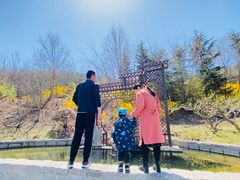 -威海华夏城景区