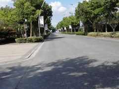 -自然谷恐龙园