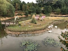 -无锡动物园·太湖欢乐园