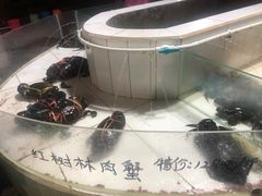 -海盗餐厅