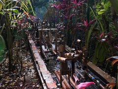 -呀路古热带植物园