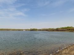 -大兴滨河森林公园