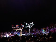 -广州长隆国际大马戏