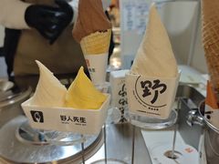 -野人先生现做冰淇淋(北京环宇荟店)