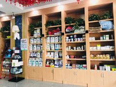 -瑞派名望志远动物医院·猫科·內科·异宠专科(直港大道店)