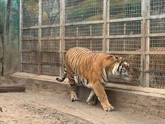 -荆州中山公园动物园