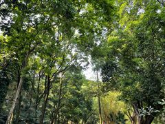 -广州市白云山风景名胜区