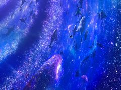 -海合安武汉极地海洋公园