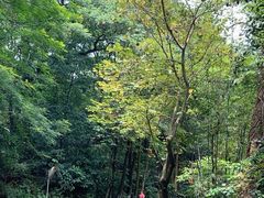 -广州市白云山风景名胜区