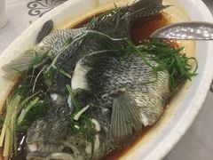 -岭南海晏楼(东晓南店)