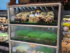 -永辉Bravo超市(东二环泰禾广场店)