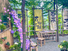 -沂蒙山旅游区云蒙景区(蒙山国家森林公园)