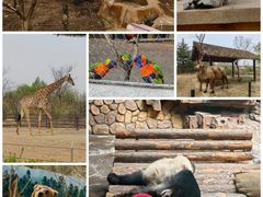 -济南野生动物世界