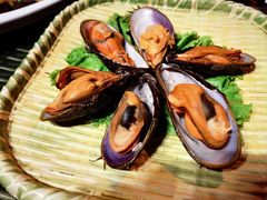 -红星渔村(将军石店)