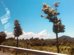 -安吉龙王山峡谷漂流