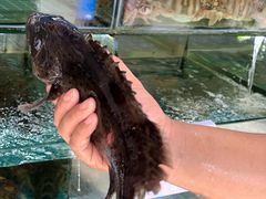 -四川小胡子海鲜(丁村万人海鲜广场店)