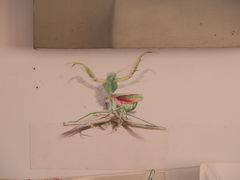 墙面彩铅&nbsp;螳螂-津艺画室