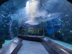 -海合安成都极地海洋公园
