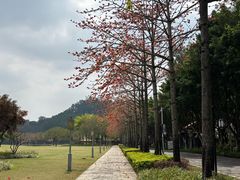 -顺峰山公园
