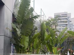 -CIAO·团建聚餐·生日派对轰趴馆(福田店)