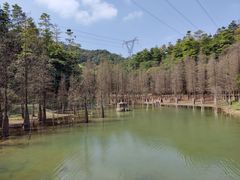 -广州市帽峰山景区