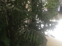 -章氏(车站北路店)