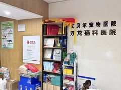 -艾贝尔宠物医院·24H转诊中心·肿瘤猫专科(江宁双龙店)