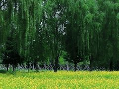 -北坞公园