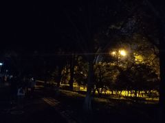 -八仙山公园